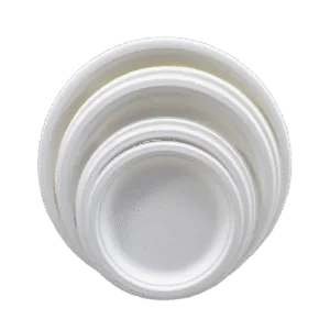Biodegradable Compostable Tableware Plates