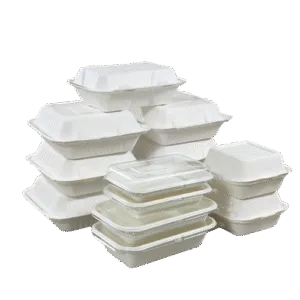 Biodegradable Food Container