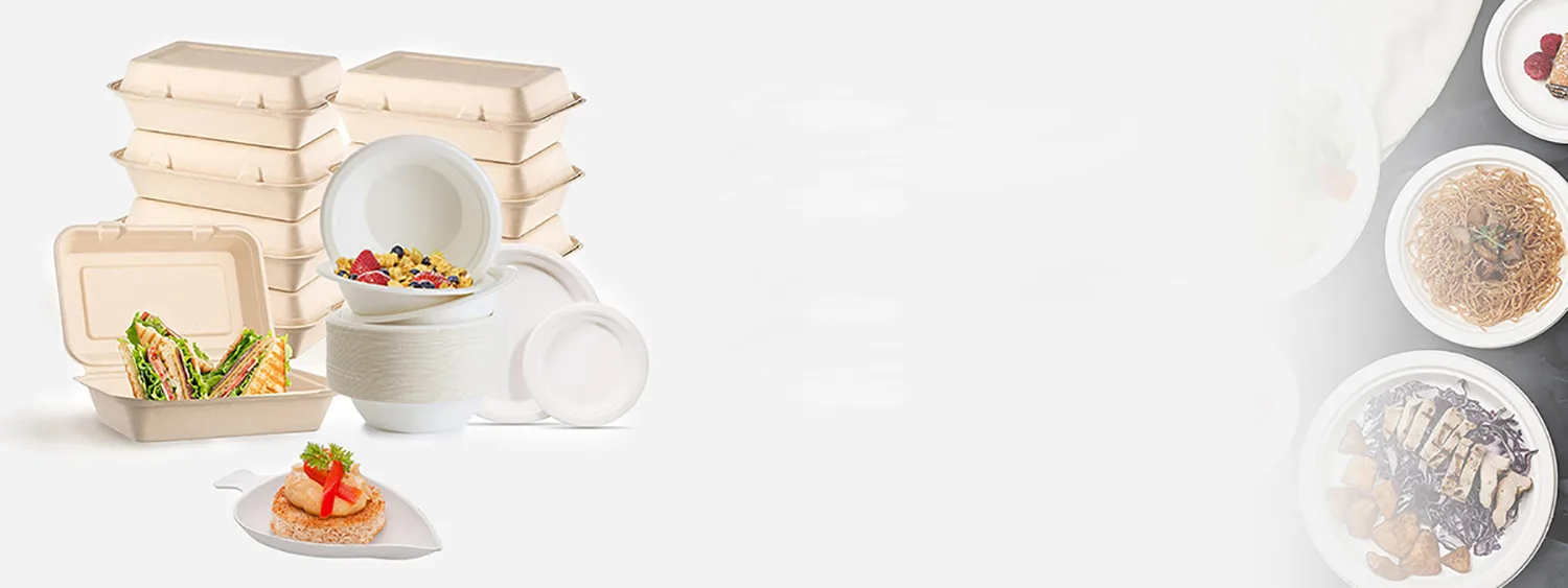 Biodegradable Food Packaging One-Stop Solution