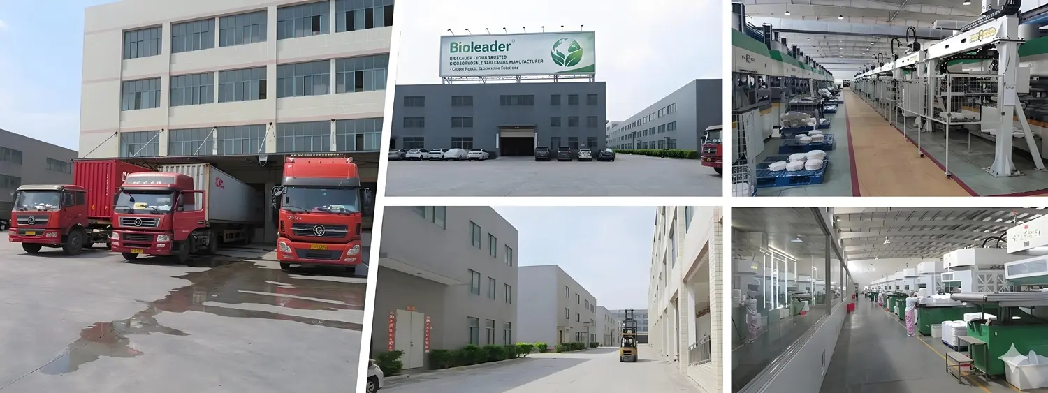 Export-ready biodegradable tableware manufacturing facility