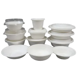 Sugarcane Bagasse Bowls with Lids