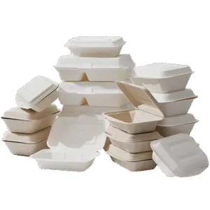 Sugarcane Bagasse Eco friendly Compostable Food Packaging