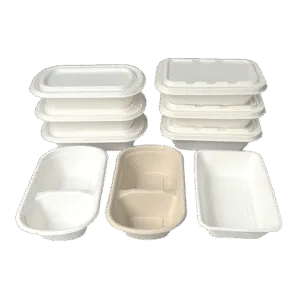 Bagasse Tray with Lid