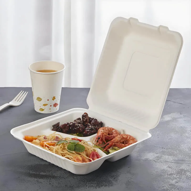 sugarcane bagasse food container